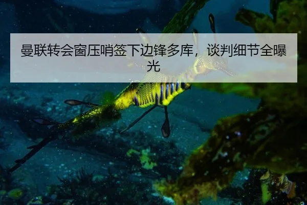 曼联转会窗压哨签下边锋多库，谈判细节全曝光