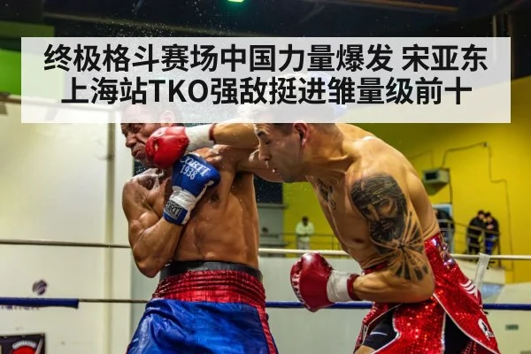 boxing punch knockout