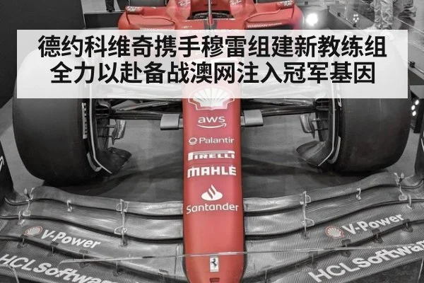 德约科维奇携手穆雷组建新教练组全力以赴备战澳网注入冠军基因